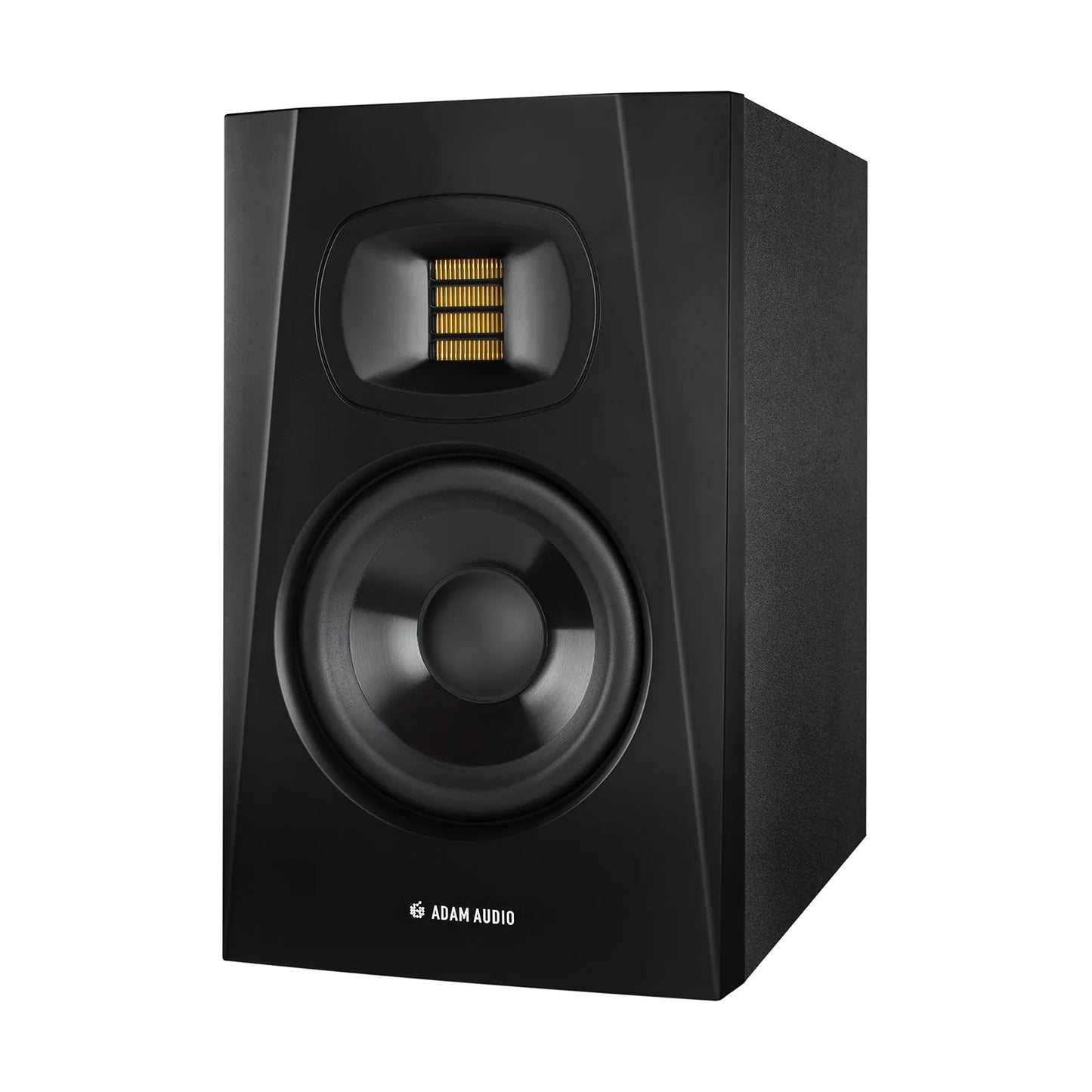 T5V - Monitor amplificado