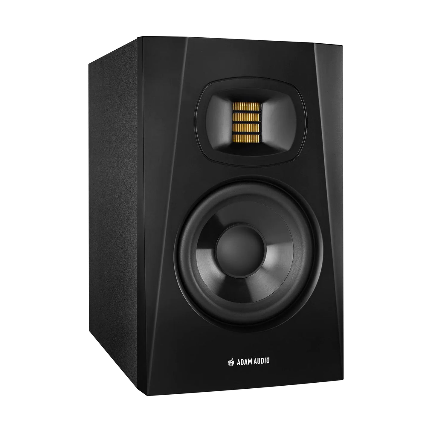 T5V - Monitor amplificado